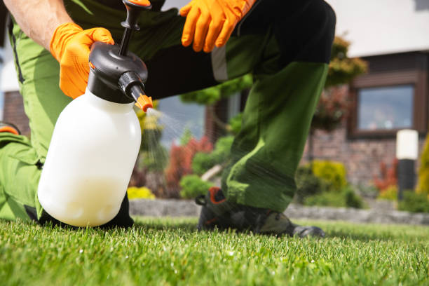 Best Spider Control Near Me  in Middleburg Heights, OH