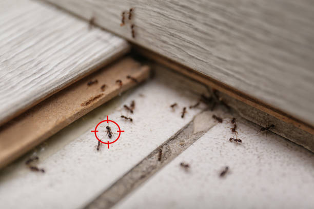 Best Pest Control for Restaurants  in Middleburg Heights, OH