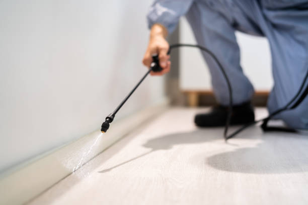 Best Termite Control Services  in Middleburg Heights, OH