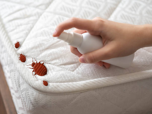 Pest Control for Restaurants in Middleburg Heights, OH