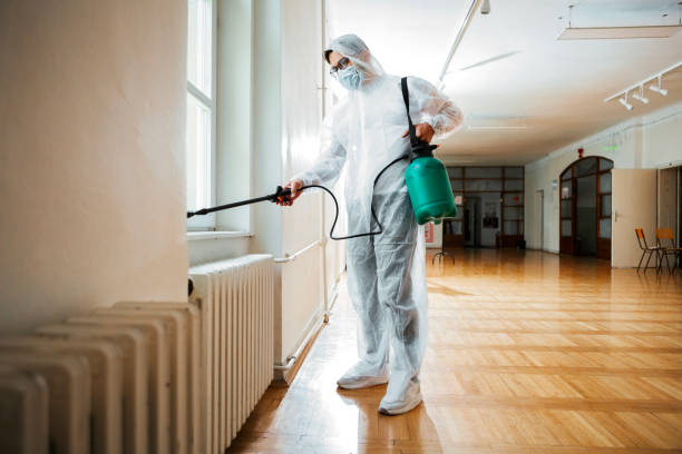 Flea Control Services in Middleburg Heights, OH