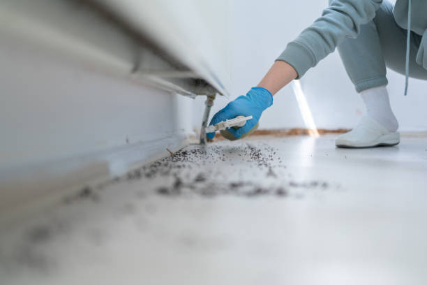 Best Pest Prevention Services  in Middleburg Heights, OH