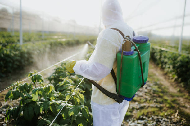 Professional Pest Control in Middleburg Heights, OH